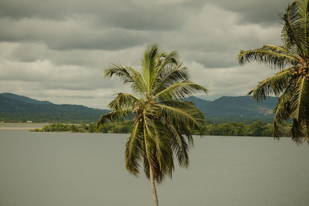 Thaulle Resort 34/50