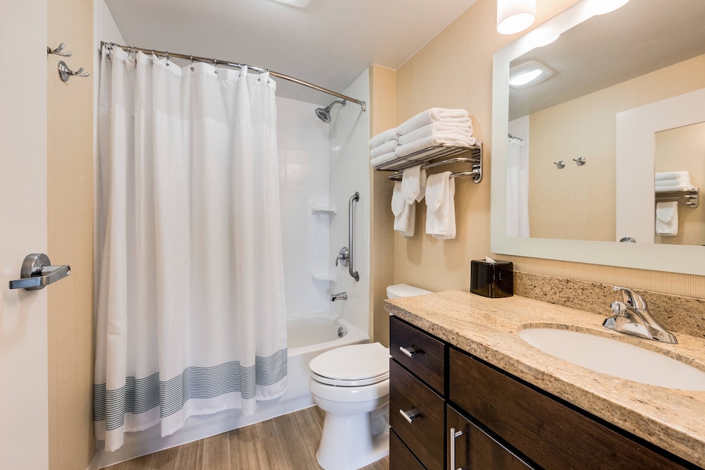 Towneplace Suites By Marriott Ann Arbor 41/51