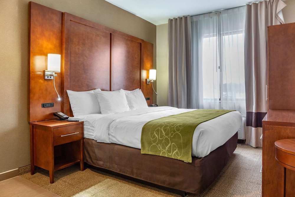 Comfort Suites Dover University Area 5/36