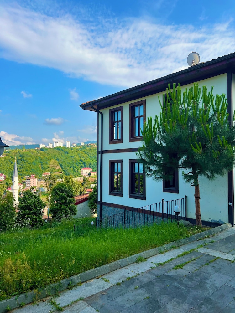 Mehmet Efendi Konagi 45/50