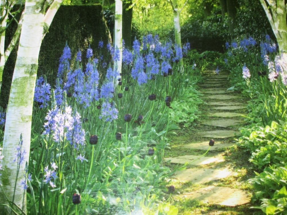 Weston Manor Bed And Breakfast 26/30