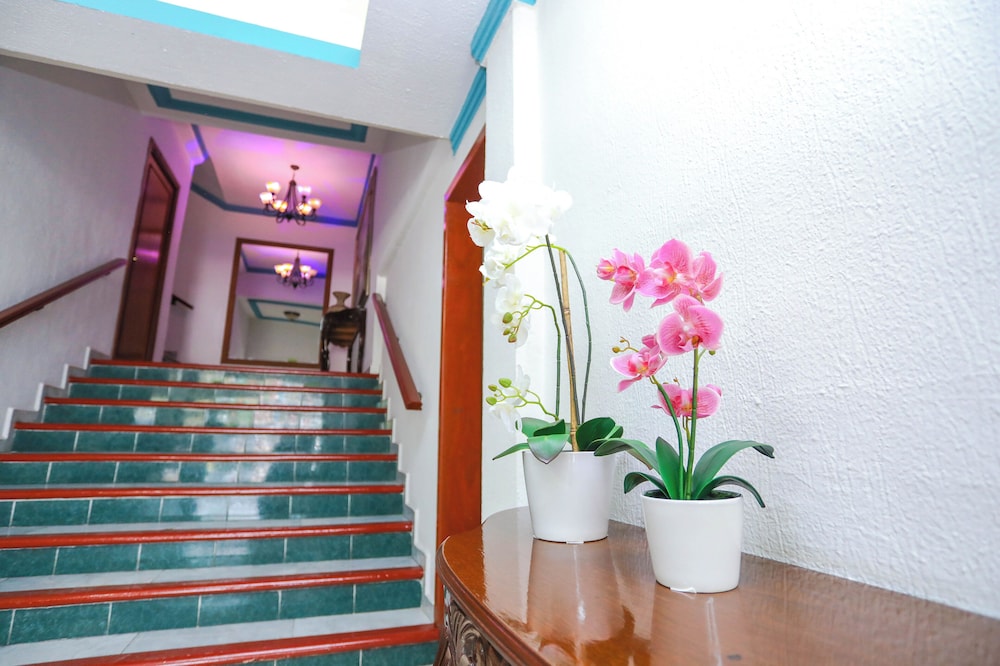 Hotel Avenida Cancun 13/50