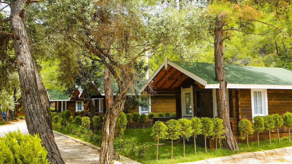 Green Pine Beach & Bungalows Luxury Concept 43/50