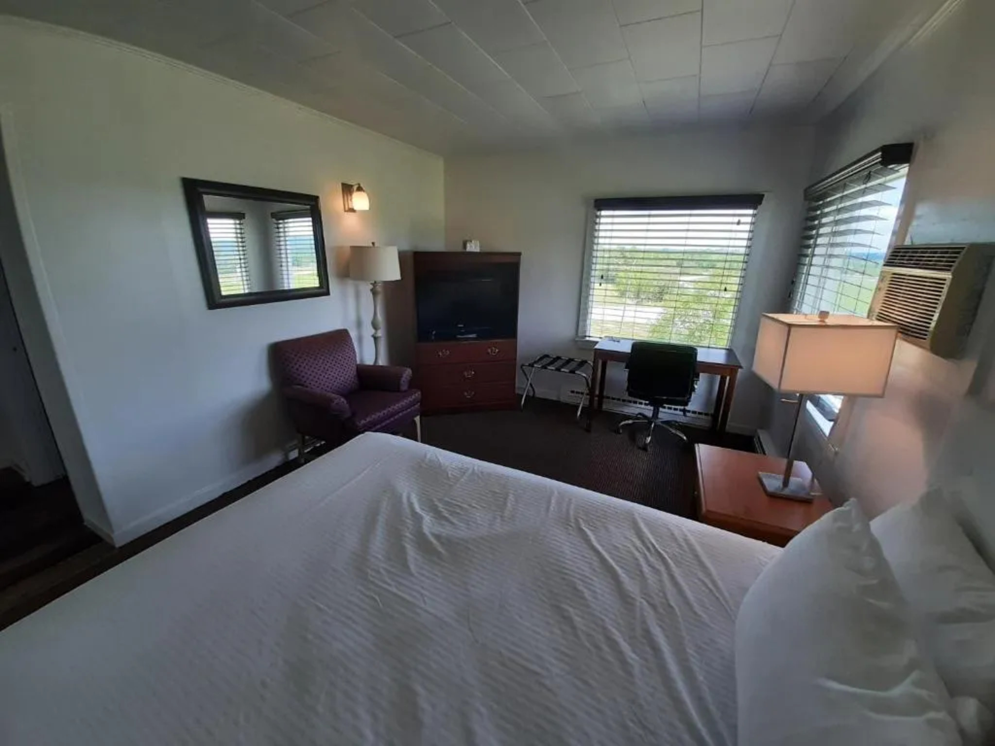 Studio, Suite, Queen Bed