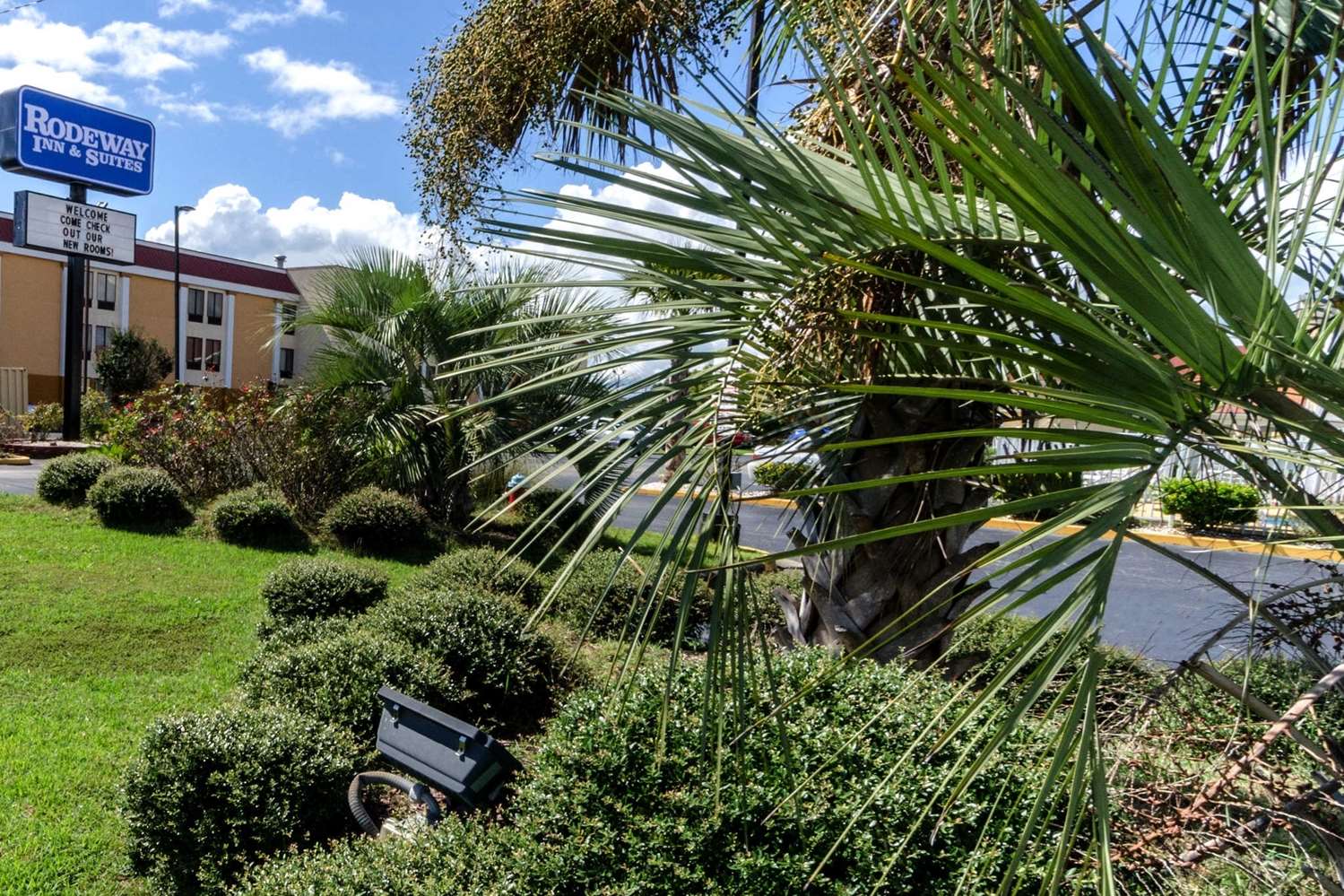Rodeway Inn & Suites Jacksonville Near Camp Lejeune 50/51