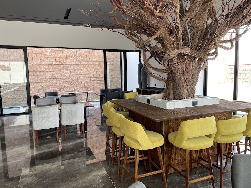 Gumont Guadalajara Lopez Mateos - Minerva Hotel 36/49