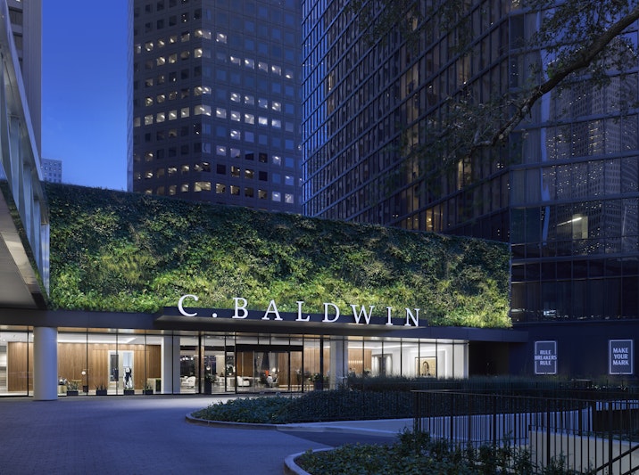 C. Baldwin Curio Collection by Hilton