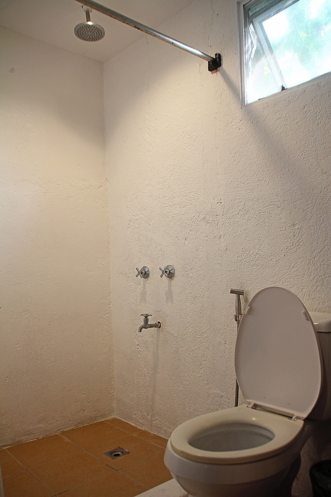 The Lazy Dog Bed And Breakfast 59/60