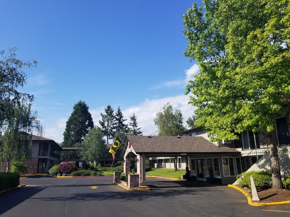 Village Inn Springfield 46/59