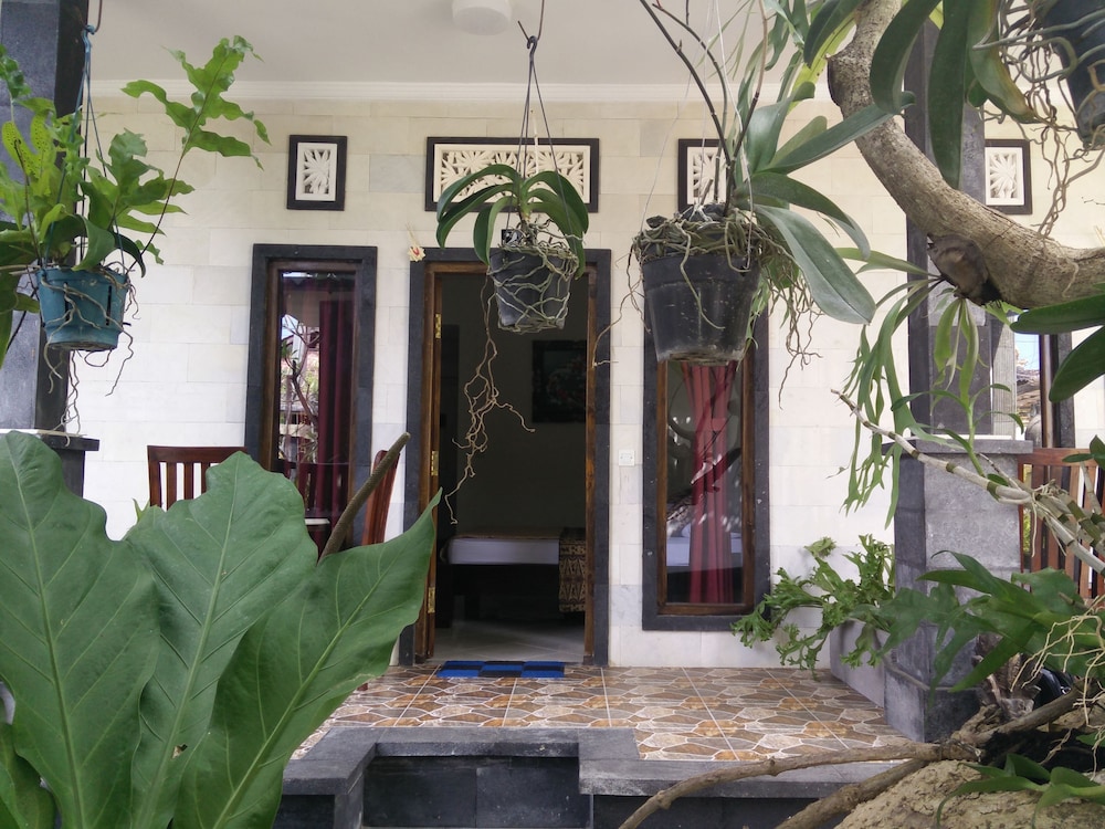 Double N Guesthouse 3/28