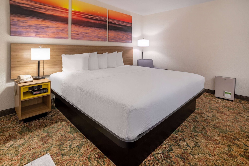 Room, King Bed