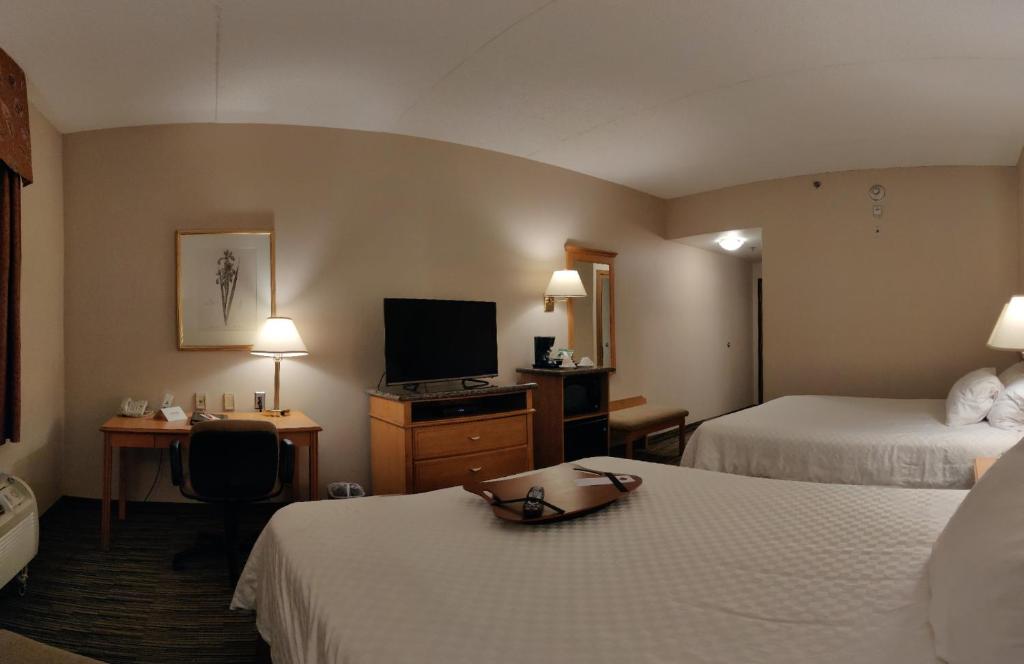 Room, King Bed