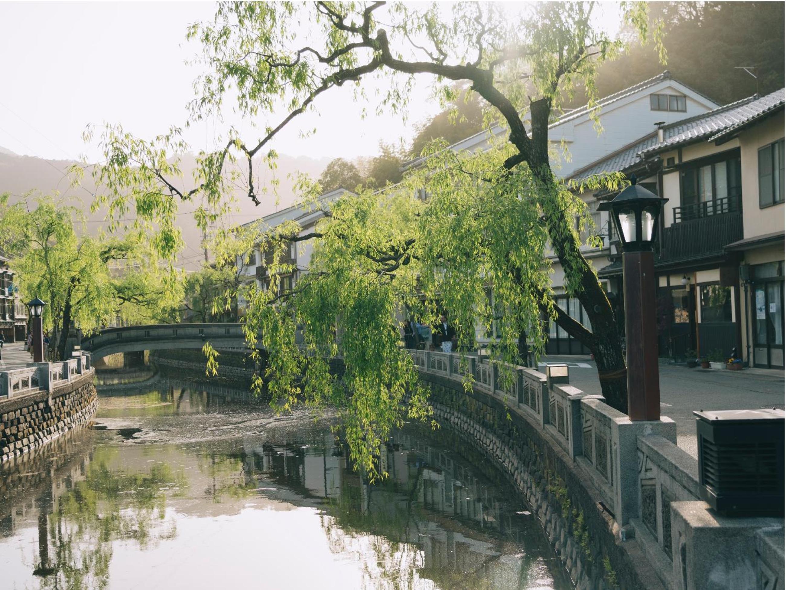 Yanagiso 48/49