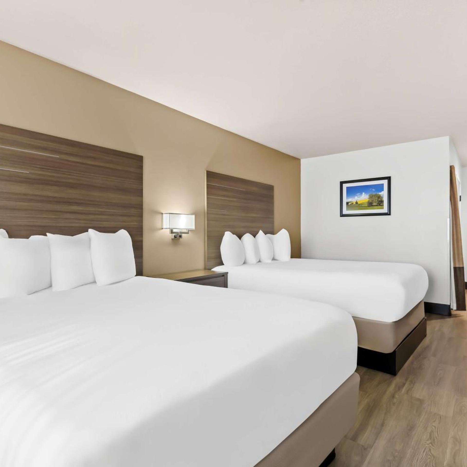 Room, Queen Bed