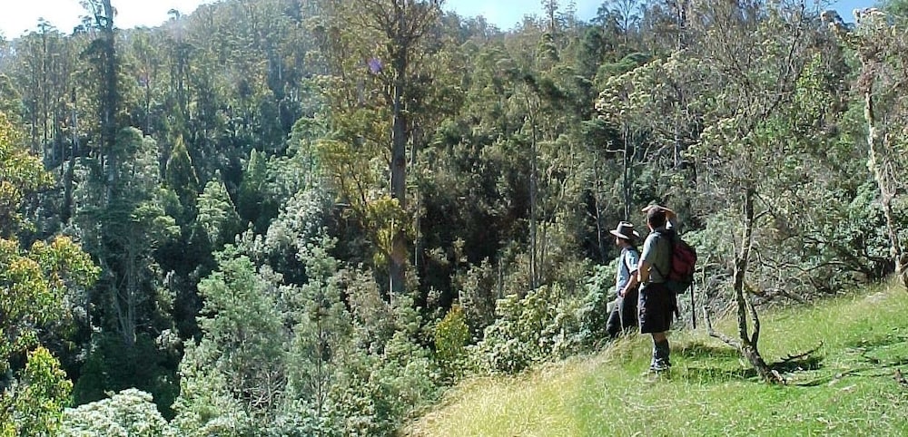 HUON BUSH RETREATS 49/50