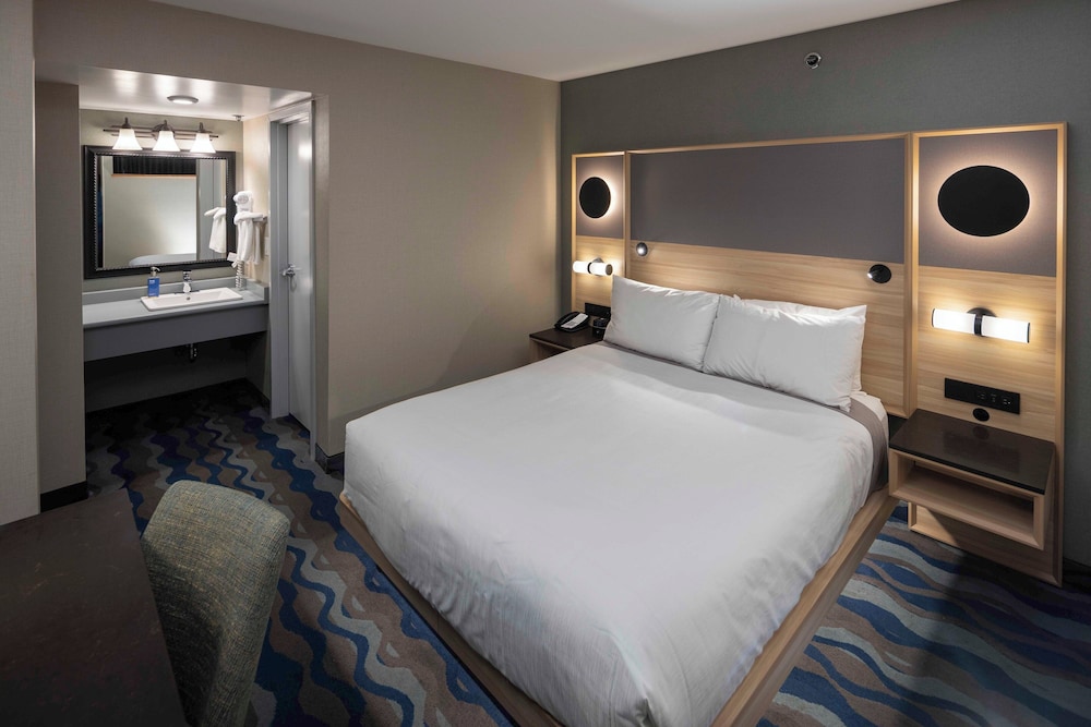 1 BEDROOM, SUITE