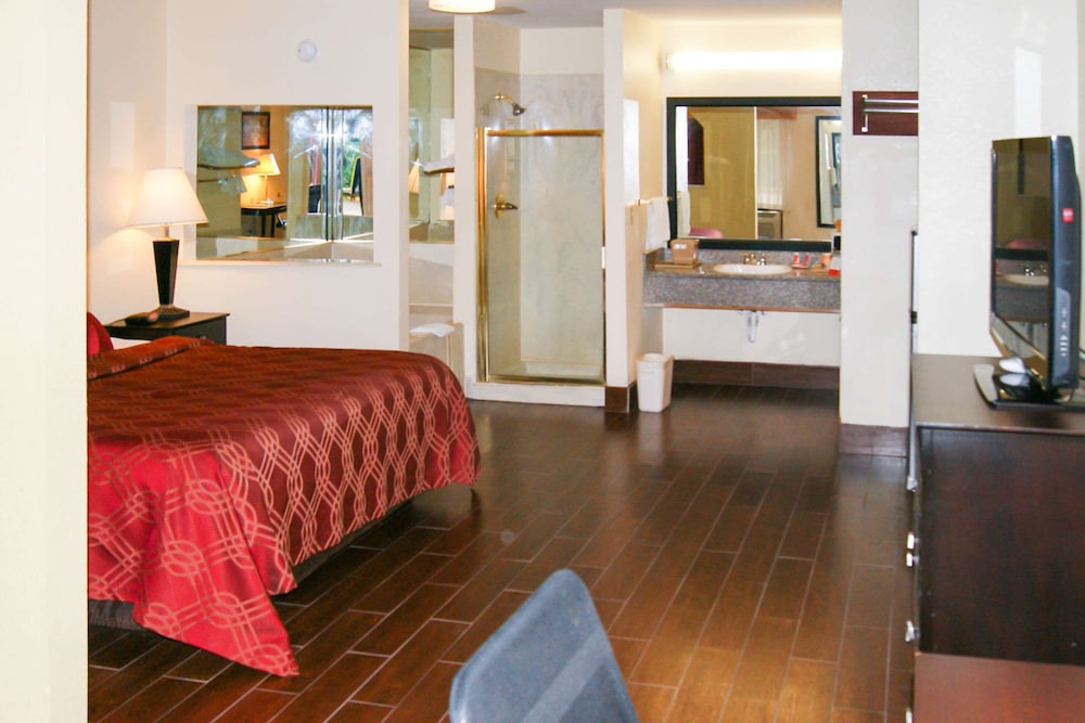 Econo Lodge Inn & Suites West - Energy Corridor 21/43