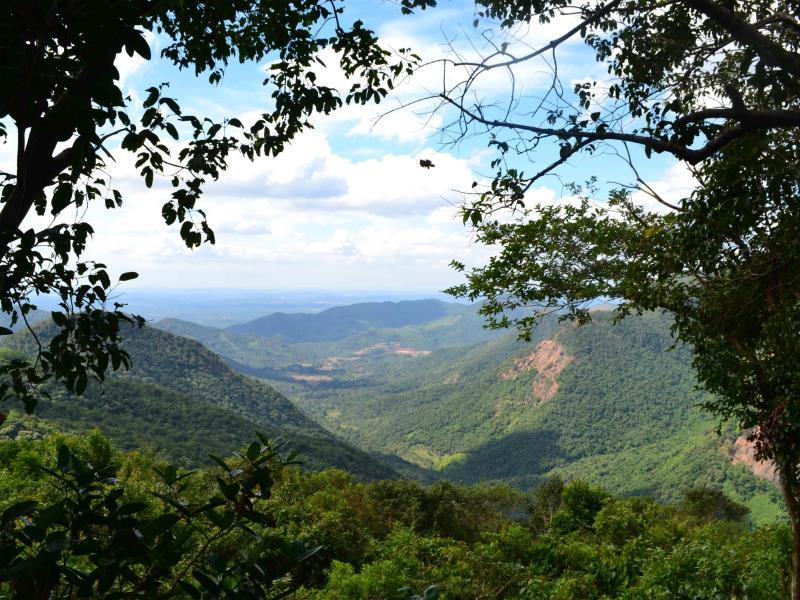 WILDERNEST NATURE RESORT 16/24