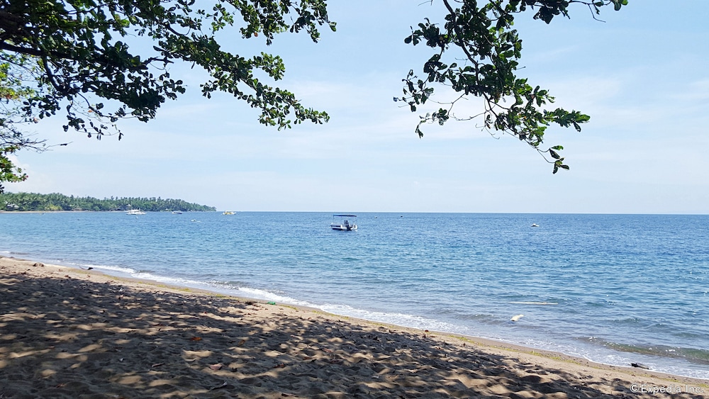Mikes Dauin Beach Resort 60/70
