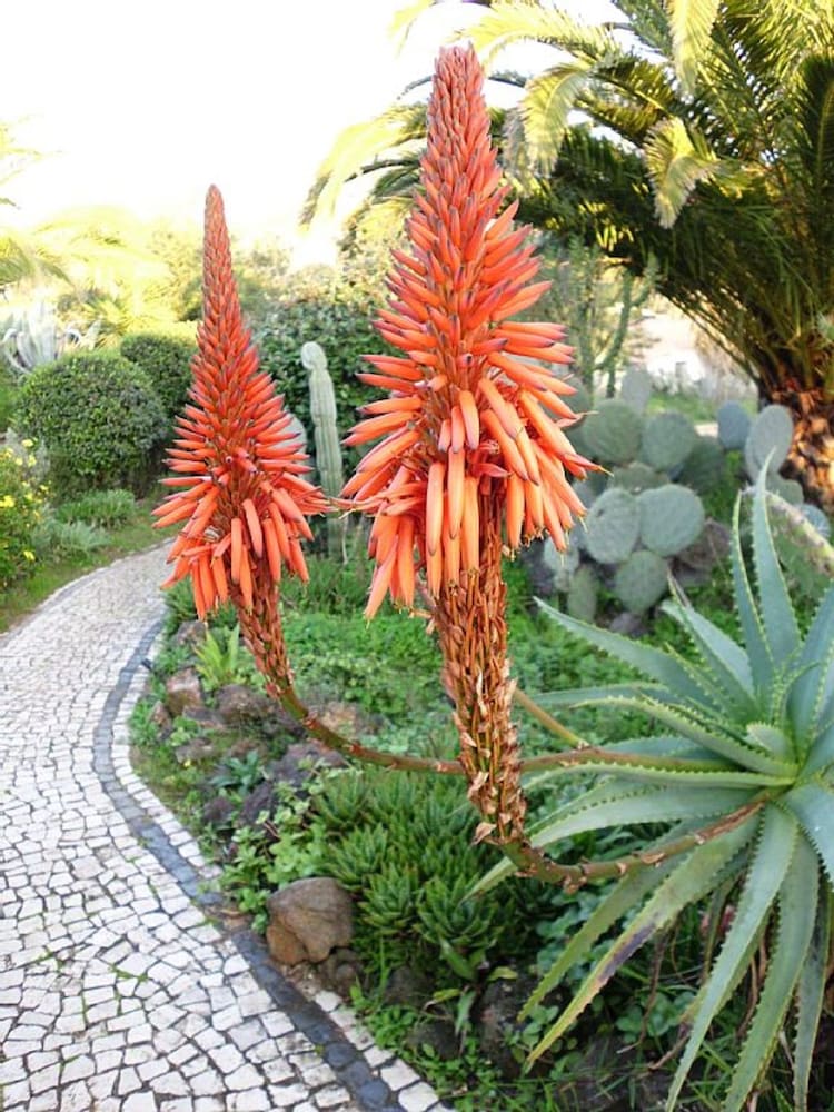Quinta da Samoqueirinha 26/33