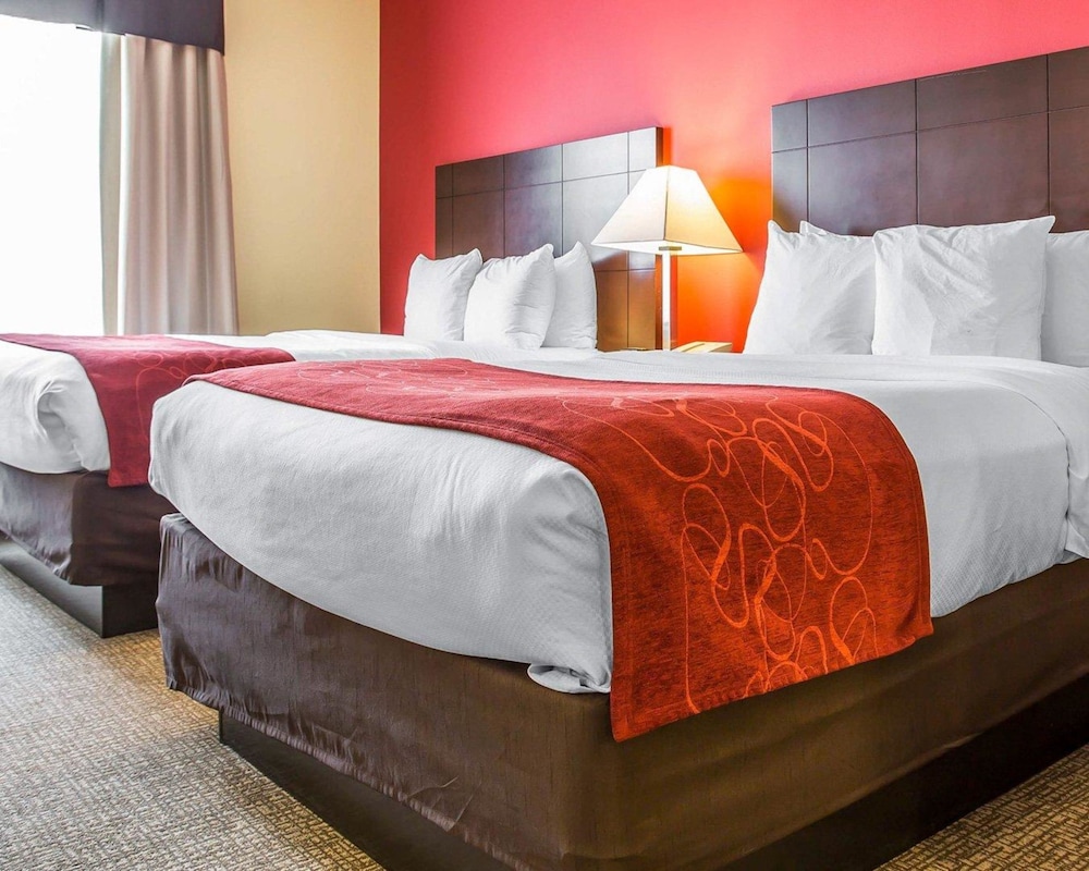 Comfort Suites Rock Hill Manchester Meadows Area 12/25