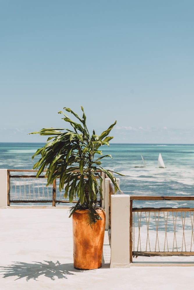Passion Boutique Hotel Zanzibar 41/50