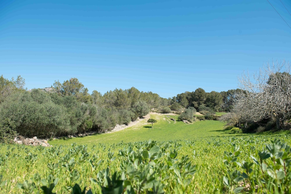 AGROTURISMO FINCA PEROLA 50/58