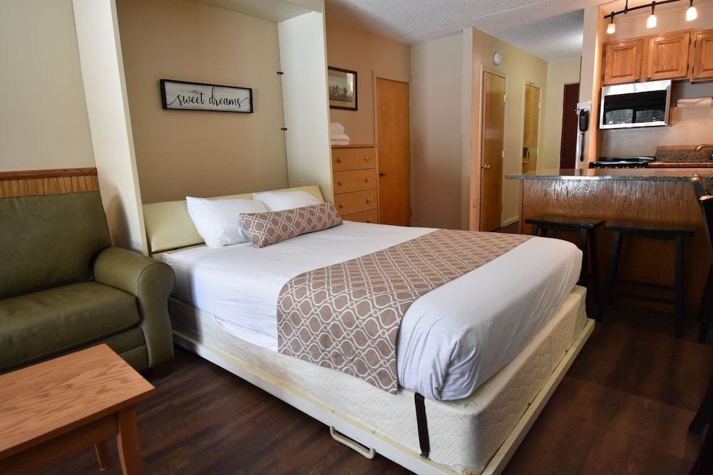 Studio, Murphy Bed, Queen Bed, Sofa