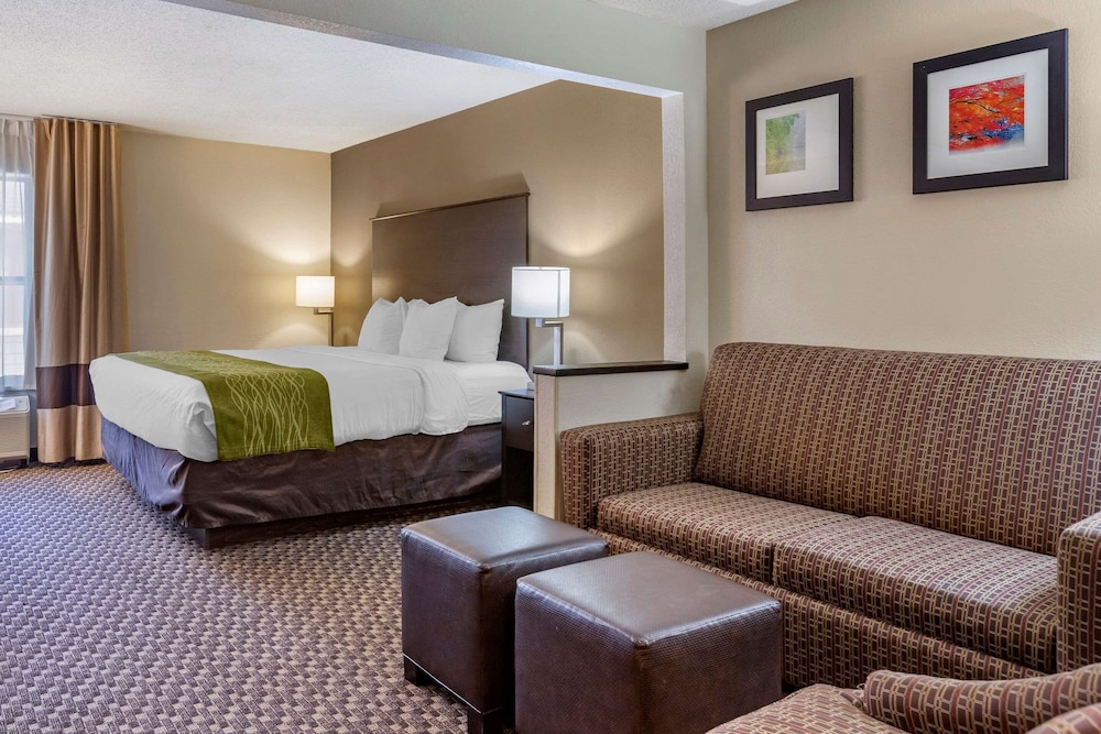 Comfort Inn Wings Stadium 16/29