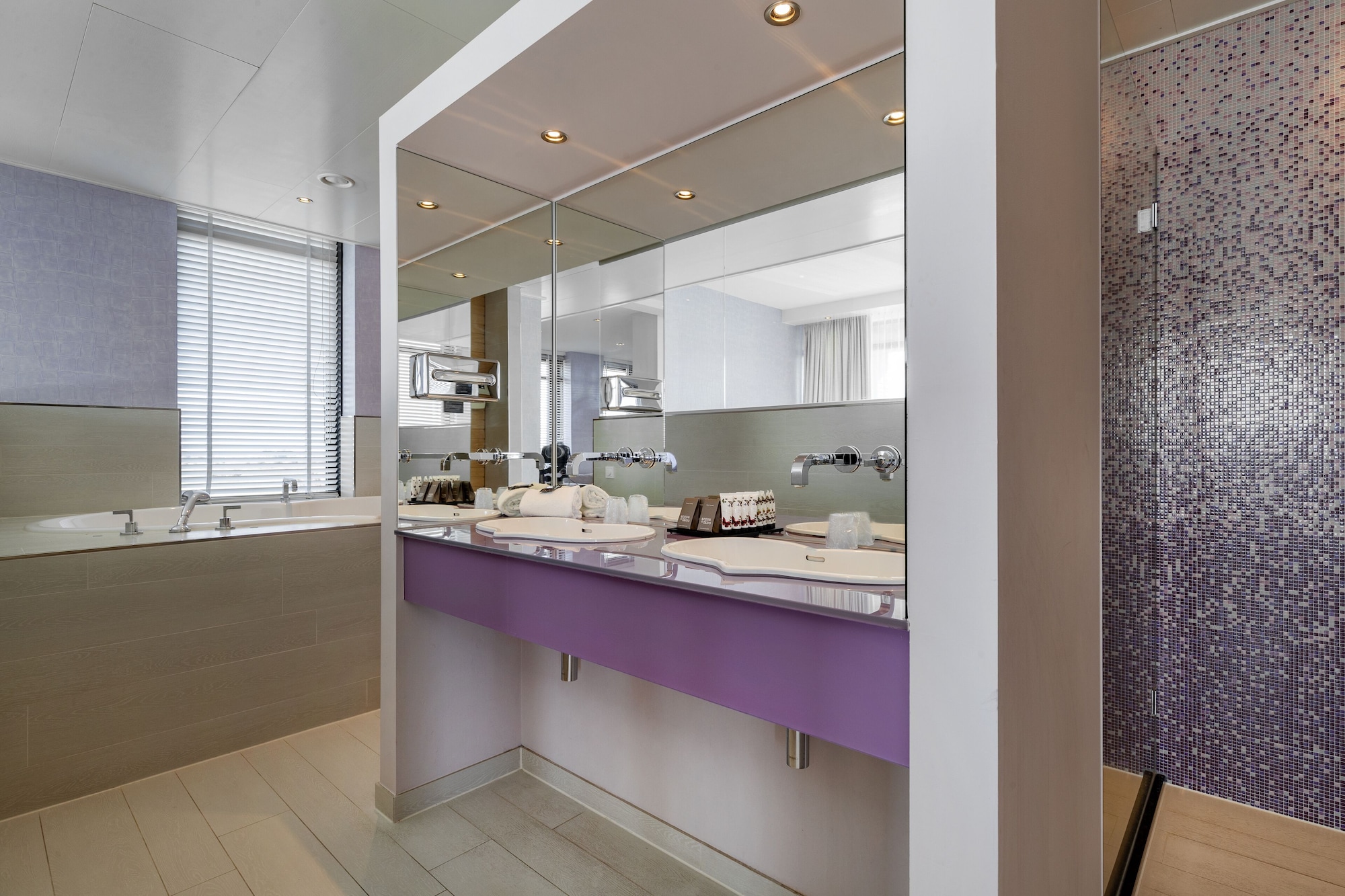 Wellness, White, Suite, Double Bed, Van Der Valk Hotel Sneek 4/4