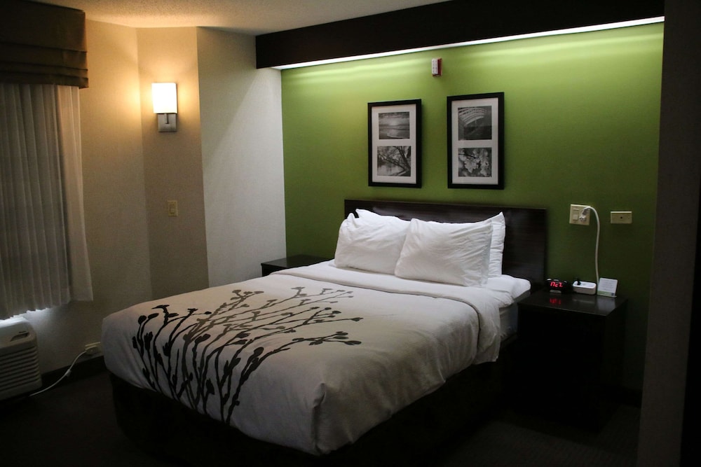 Room, Queen Bed, Accessible