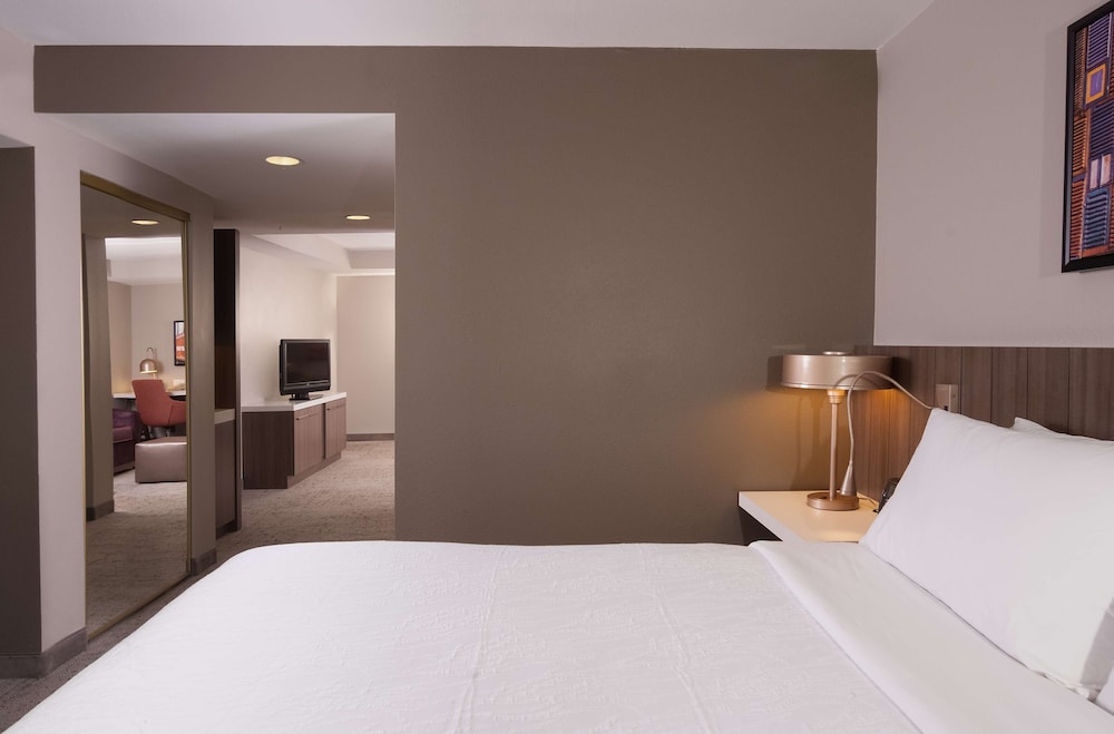 Hilton Garden Inn Atlanta Airport/Millenium Center 6/43