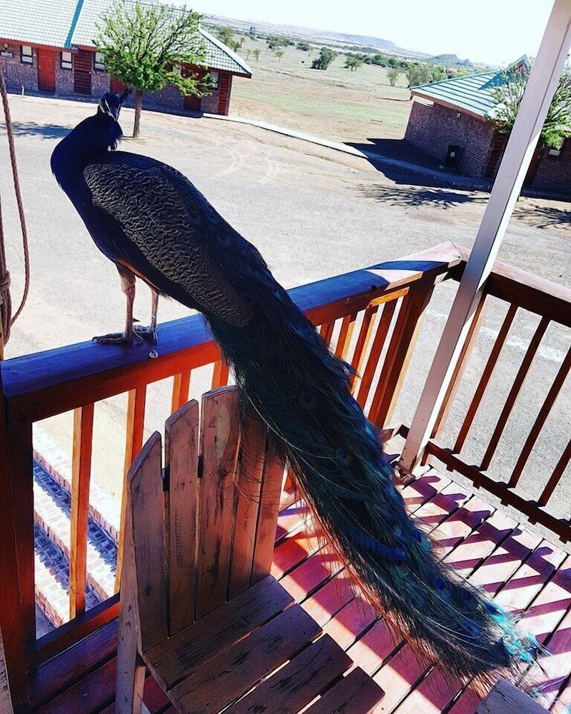 Sangiro Game Lodge 21/50