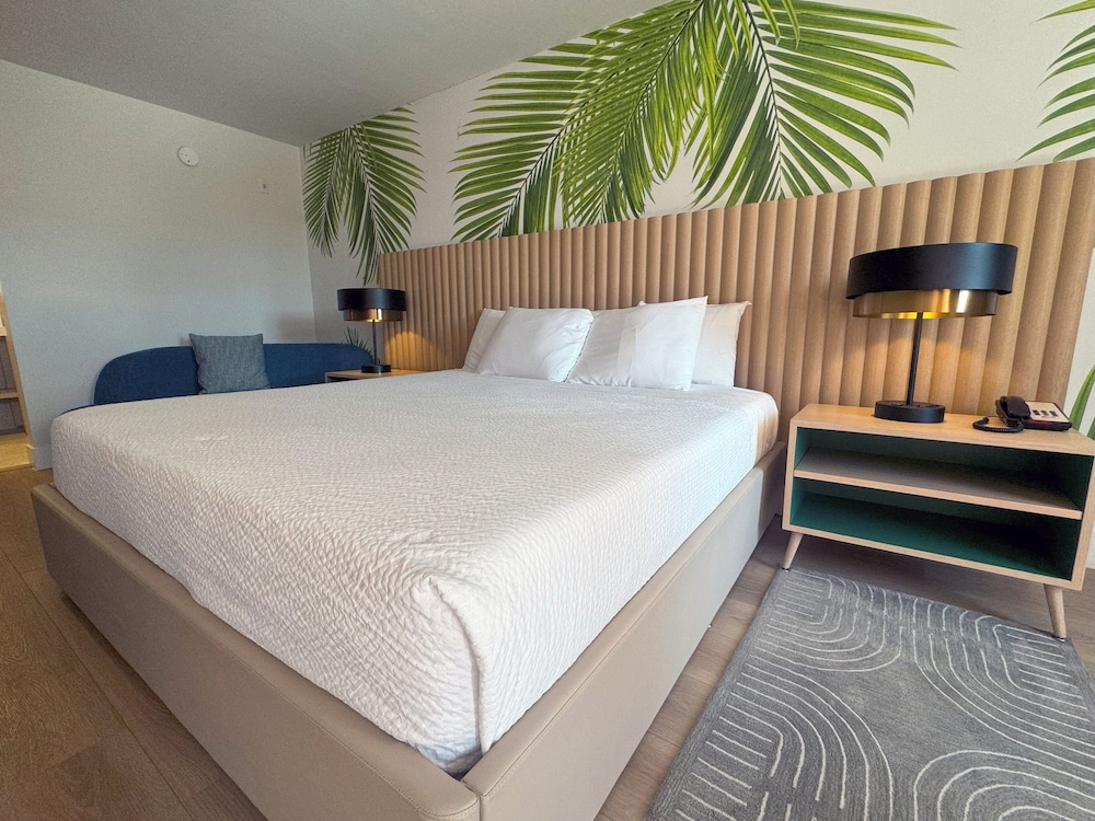 Room at The Harrison Downtown Hollywood, HOLLYWOOD - FL