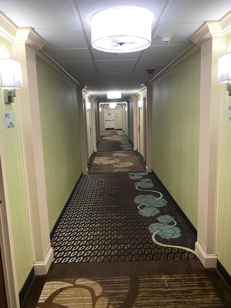 Wingate by Wyndham Springfield 5/60