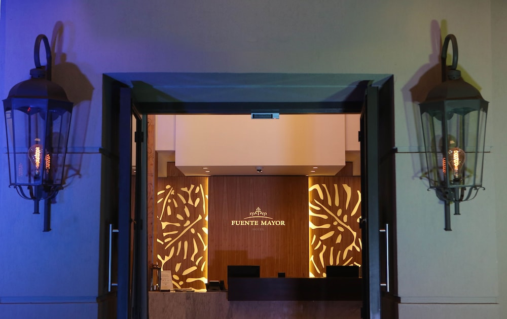 Fuente Mayor Hotel Ciudad de Mendoza 18/61