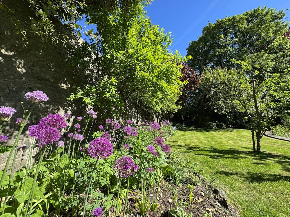 The Old Vicarage B&B 42/50
