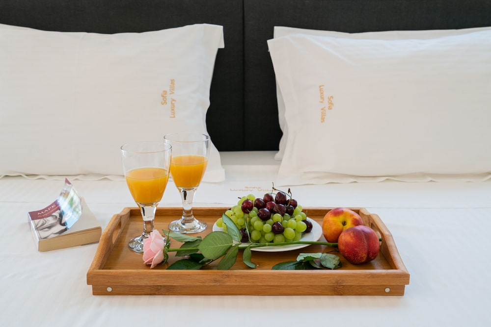 Sofia Luxury Villas 31/50