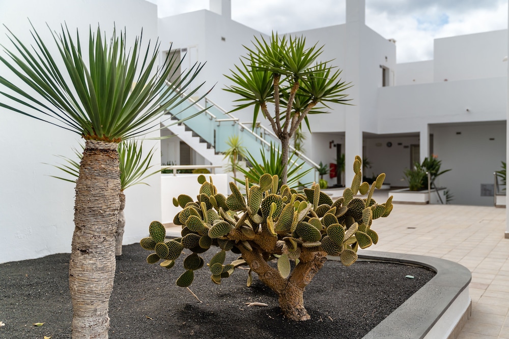 Lanzarote Village Hotel 61/69