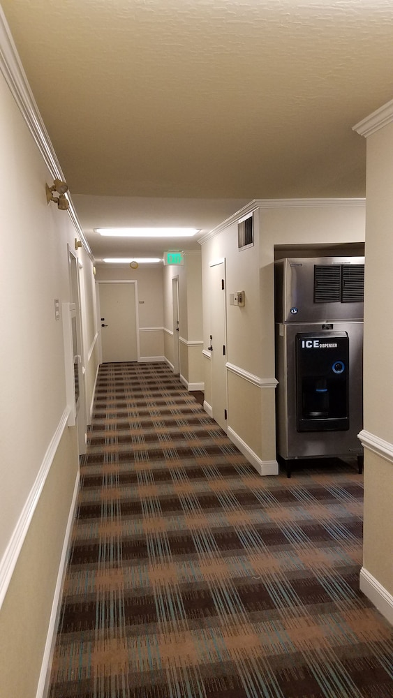 Chelsea Motor Inn 25/62