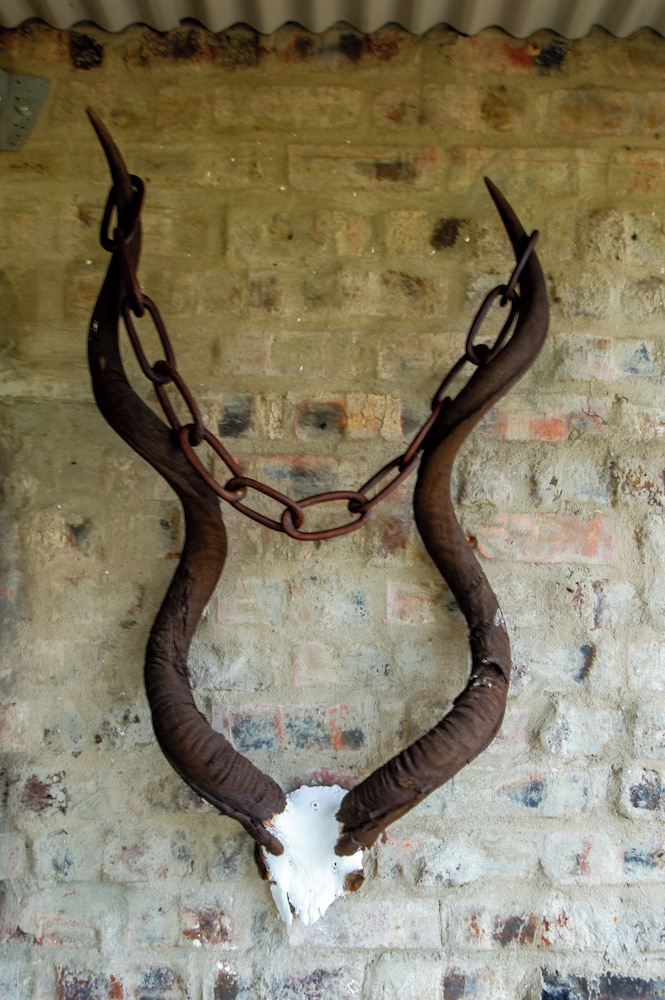 Zwartberg View Mountain Lodge 29/50