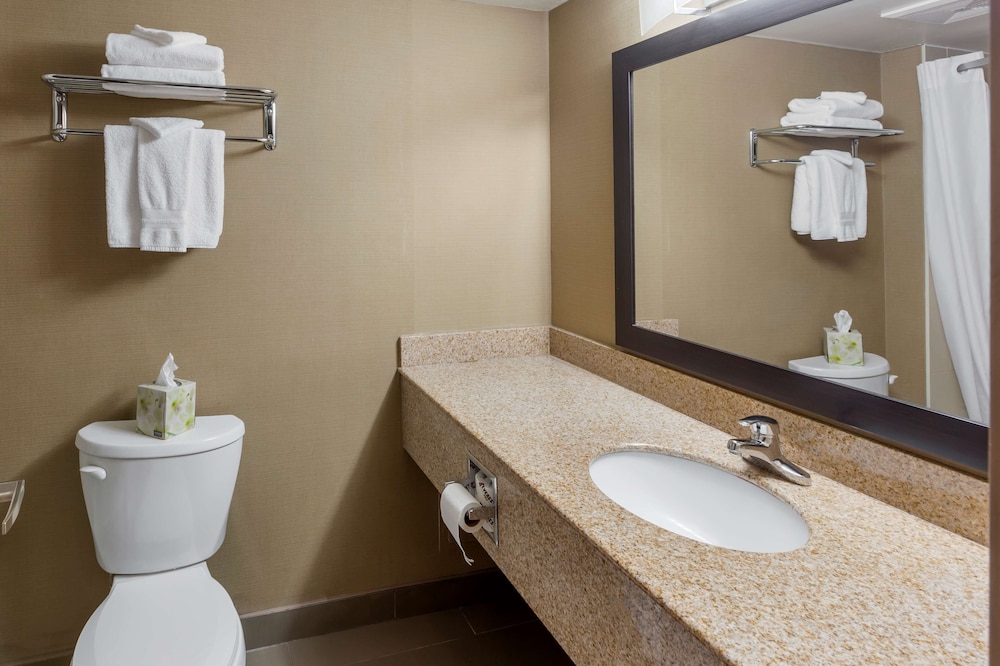 غرفة قياسية بسرير كينج بشرفة مع أريكة يُسمح فيها بالحيوانات الأليفة، Best Western Plus Leamington Hotel and Conference Centre 6/6