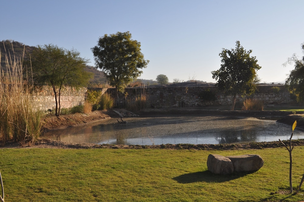 Tree of Life Sariska Manor 41/58