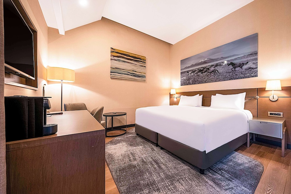 Radisson Blu Hotel, Mount Erciyes 13/31