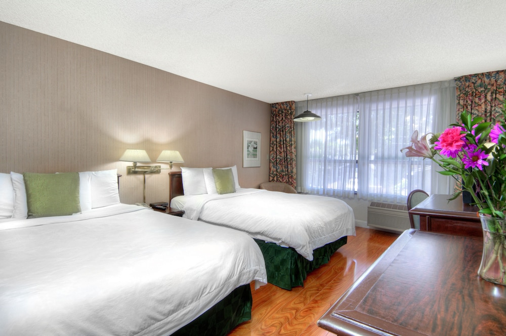 Days Inn by Wyndham Mountain View 38/96