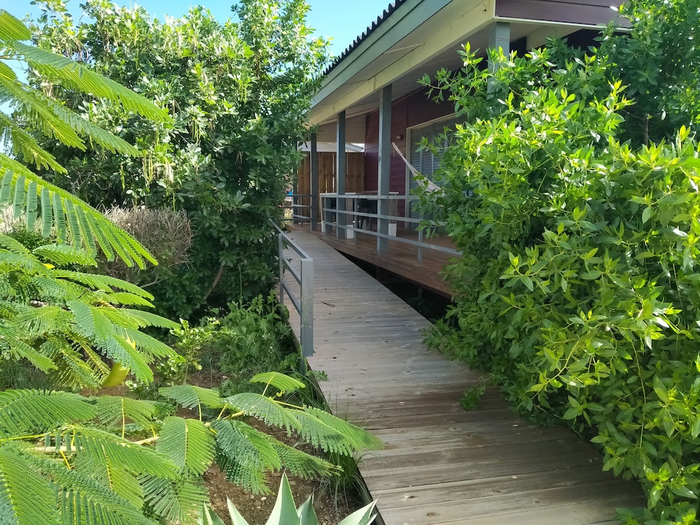 Red Palm Village 44/50