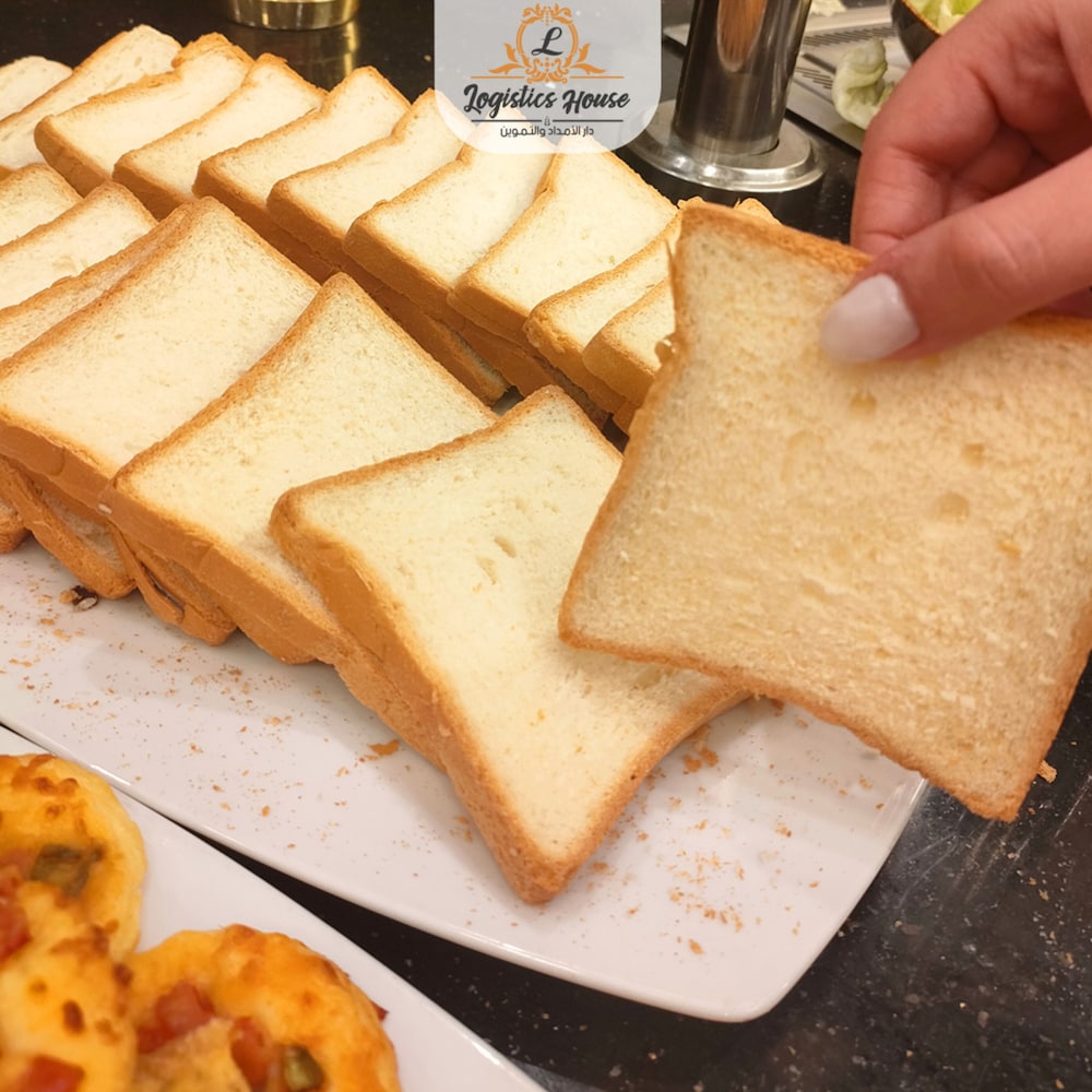 ロジスティック シティ スターズ ホテル カイロ 写真2