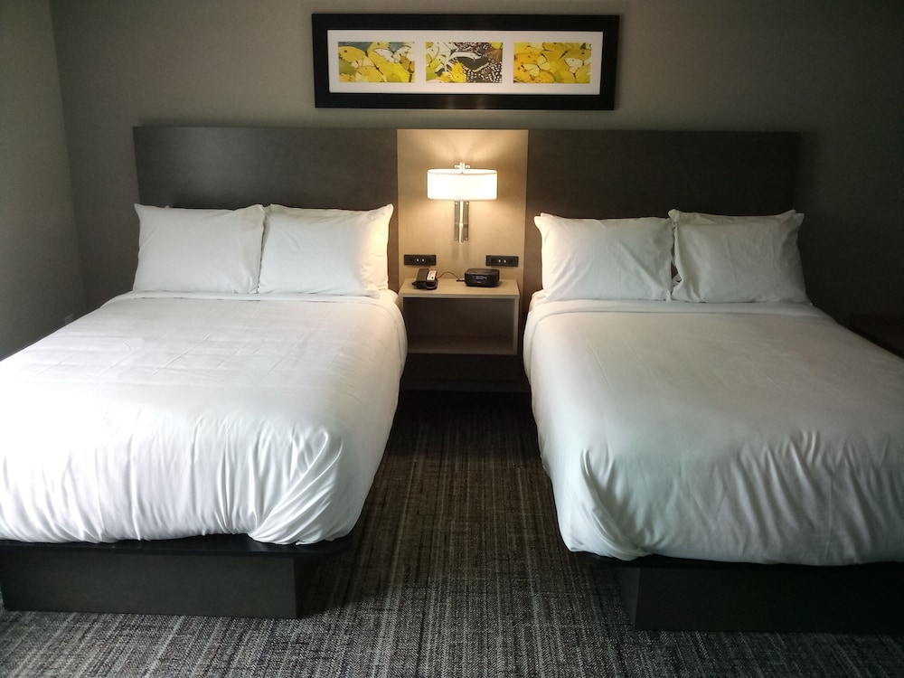 Room, 2 Double Beds, Accessible