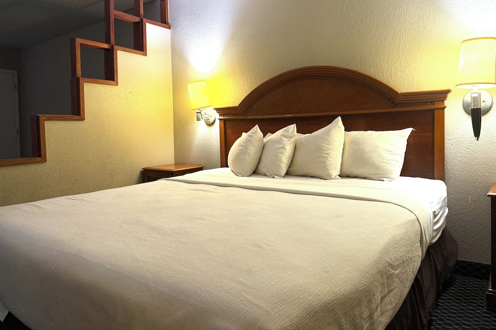 Suite - King Bed Non - Smoking