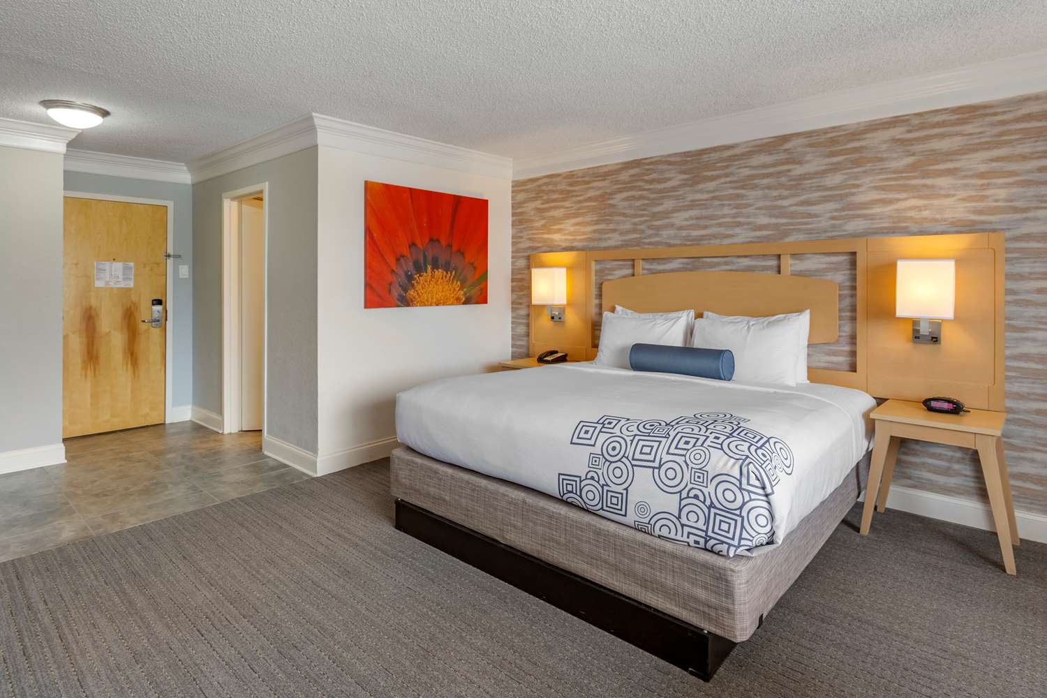 Room, King Bed, Large